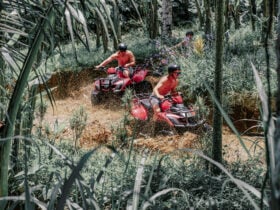 ATV Bali - Travelnata