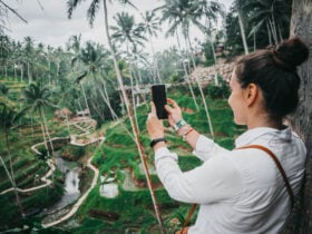 Tegallalang Rice Terrace - Travelnata