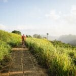 Campuhan Ridge Walk in Ubud - Travelnata