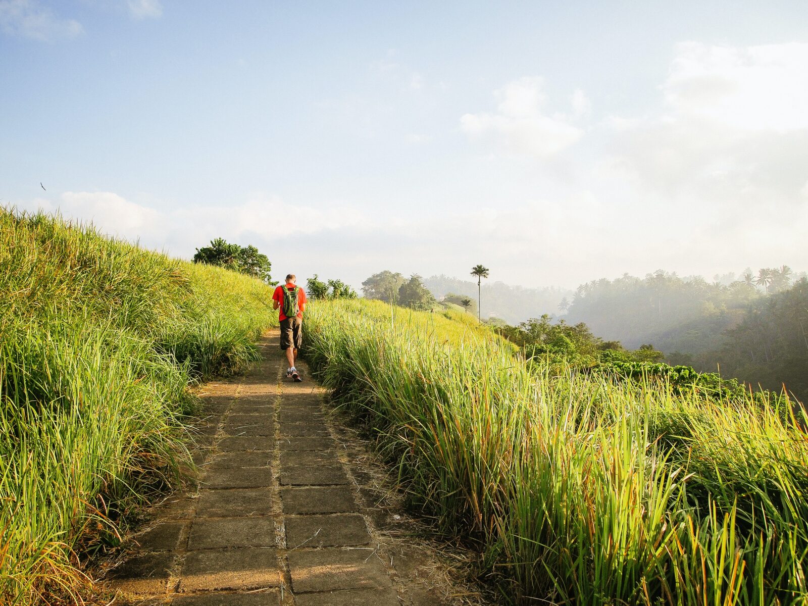 Campuhan Ridge Walk in Ubud - Travelnata