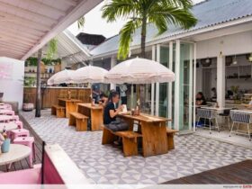 Instagrammable Cafes in Canggu