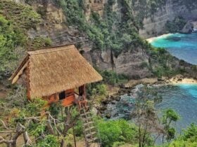 Treehouse Nusa Penida