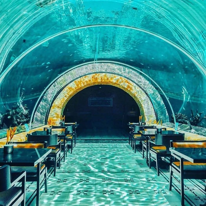 3 Unique Restaurant you must visit in bali