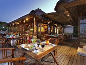 Best Cafés in West Bali