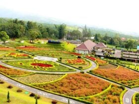 The Bloom Garden Bali