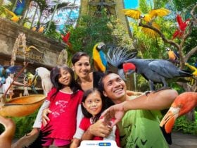 Exploring Bali Bird Park, A Kids-Friendly Adventure