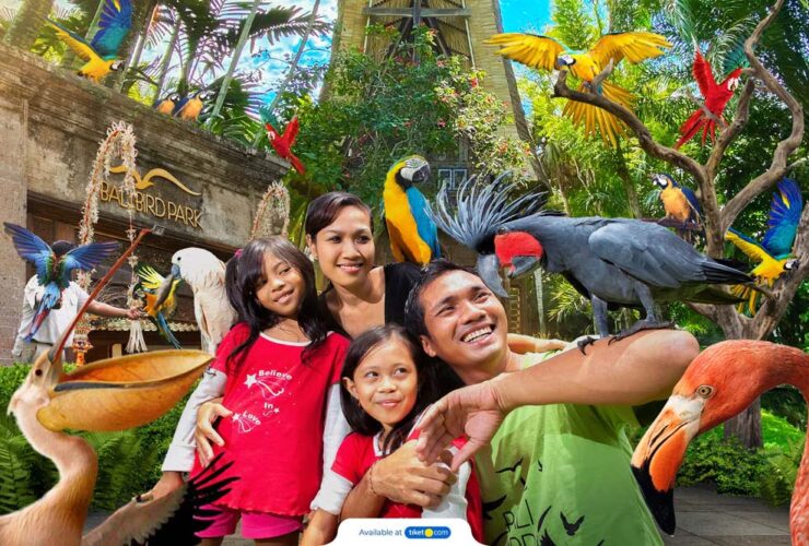 Exploring Bali Bird Park, A Kids-Friendly Adventure