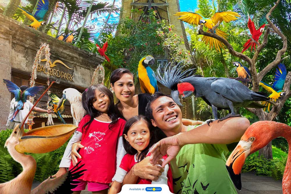 Exploring Bali Bird Park, A Kids-Friendly Adventure