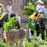 Bali Safari and Marine Park Tour