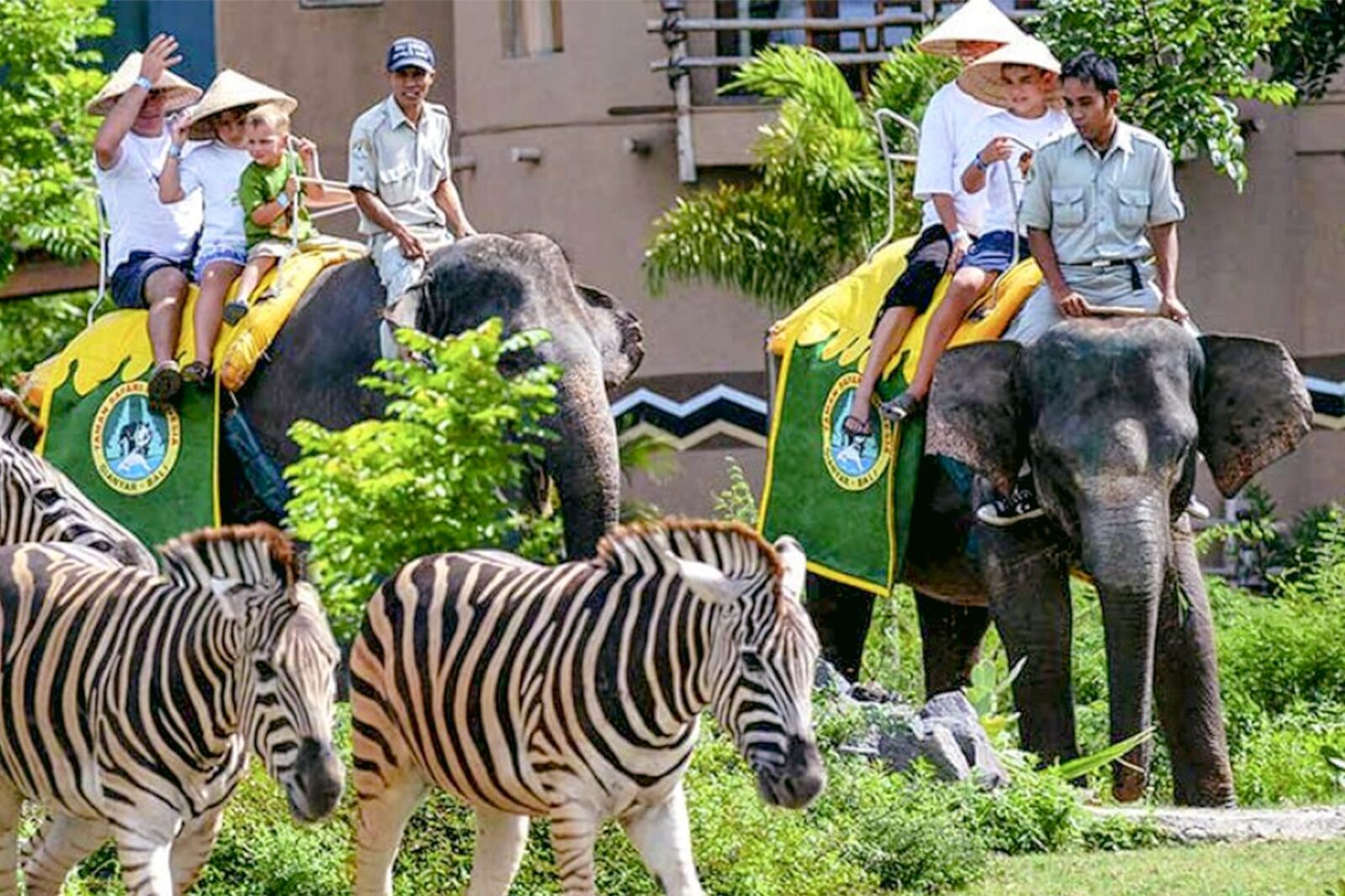 Bali Safari and Marine Park Tour