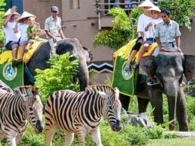 Bali Safari and Marine Park Tour