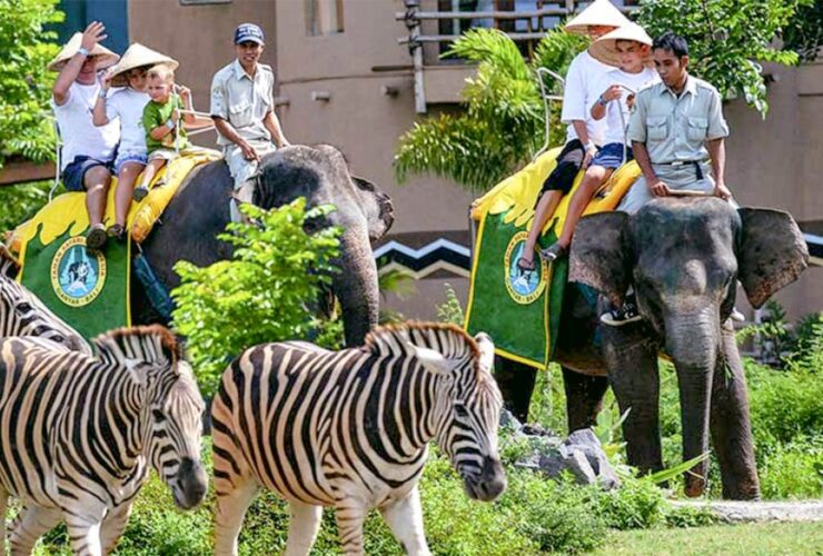 Bali Safari and Marine Park Tour