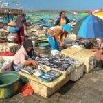 Exploring Jimbaran Fish Market: A Dive into Bali’s Vibrant Seafood Culture