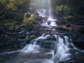 Exploring Temesi Waterfall