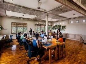 3 Best c-working in ubud