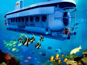 Bali Odyssey Submarine Experience