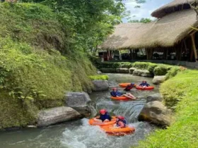 Discovering River Tubing Adventure in Bali