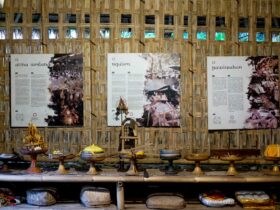 Samsara Living Museum