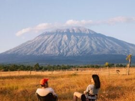 Savana Tianyar